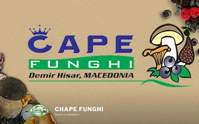 chape.com.mk