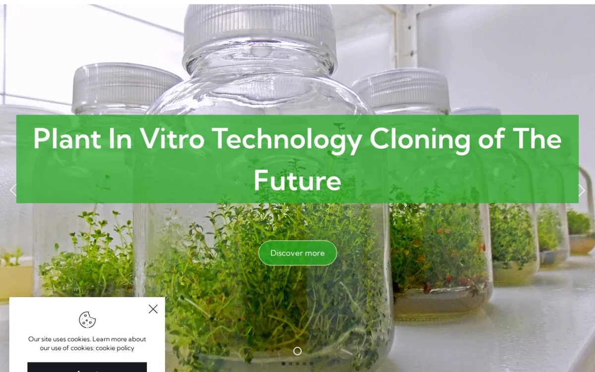 Слика од plantengineering.mk